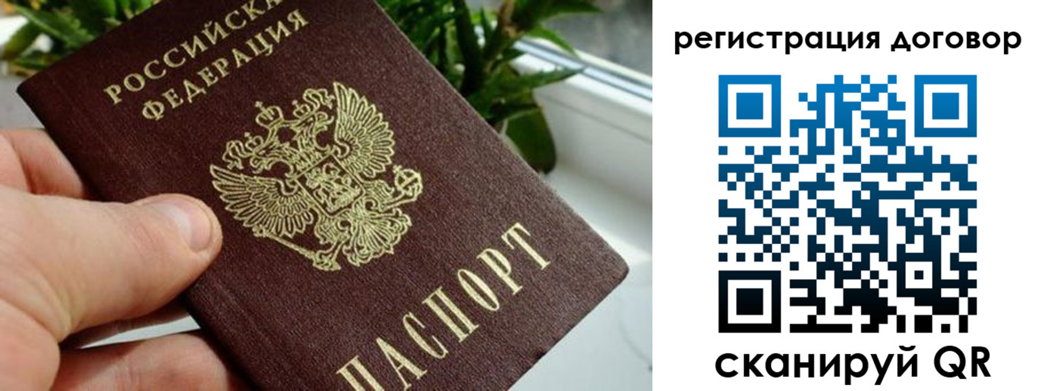 прописка ребенка в Лесозаводске